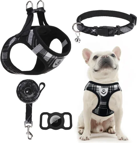 Miniatura 6 de EXPAWLORER Arnés Clásico de Plátanos para Cachorros - Juego de Arnés y Correa para Perros Pequeños - Juego de Collar y Correa para Perros con Azul