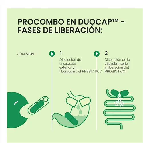Miniatura 7 de ProCombo - El simbiótico inteligente con entrega dirigida de las buenas bacterias. Fórmula de cápsula doble y líquido para resultados rápidos. 1