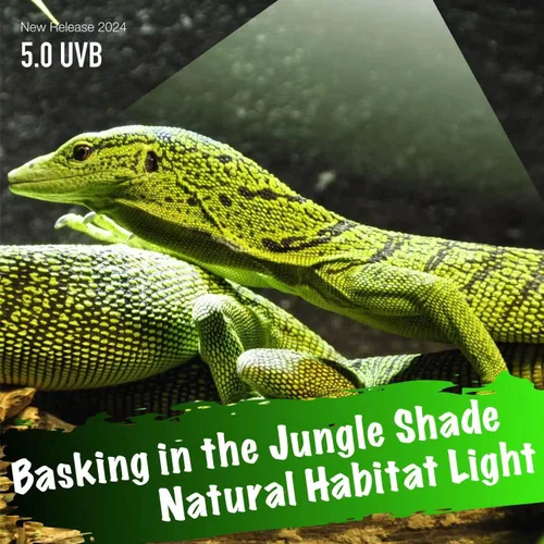 Miniatura 5 de Luz de reptil UVB, bombilla UVB5.0 de 13 W, lámpara de bombilla de reptil UVA UVB para leopardo Gecko crestado, tortuga, bombillas Camaleón UVB