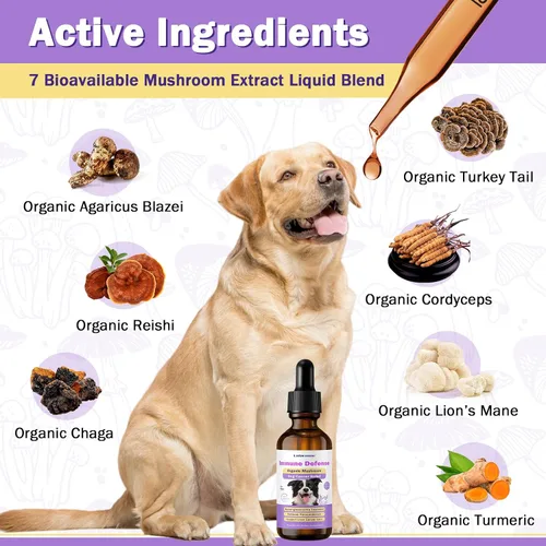 Miniatura 4 de Suplementos para el cáncer de perro – Pet Critical Guard – Defensa inmunológico, salud celular, antioxidantes con hongo cola de pavo – Suplemento