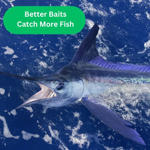 Miniatura 8 de Ballyhoo - Señuelos de arrastre con aparejo offshore gratuito incluido para Mahi Mahi Dolphin Dorado Wahoo Marlin Atún Offshore Big Game Señuelos