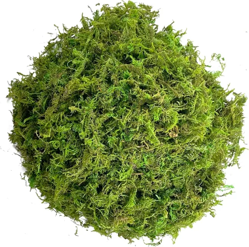 Miniatura 8 de Musgo verde para manualidades, musgo artificial decorativo para plantas en maceta, orquídea sintética, musgo, mezcla de tierra, turba, esfagno