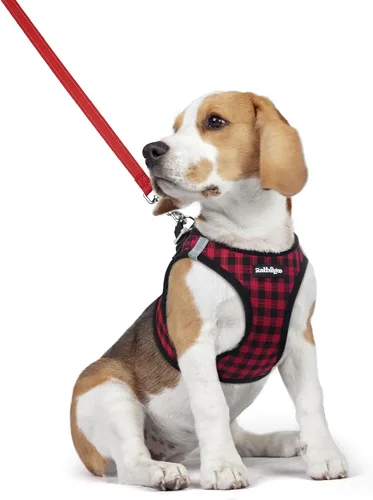Miniatura 118 de rabbitgoo Juego de arnés para perro de tamaño pequeño y correa, chaleco ligero suave para cachorro, arnés de malla transpirable para mascotas