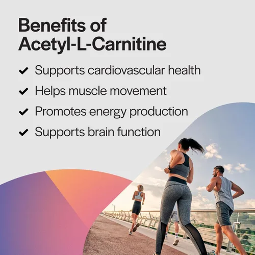 Miniatura 6 de PureFormulas Acetil L-carnitina apoyo cognitivo y de memoria L Carnitina Suplemento para cerebro, concentración y calma Alcar, 500 mg sin lácteos