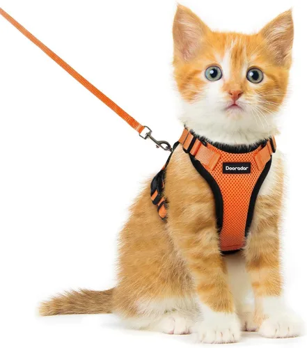 Miniatura 35 de Dooradar Juego de arnés y correa para gato, chaleco ajustable seguro a prueba de escapes, para caminar, chaqueta de malla suave y transpirable