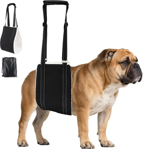 AIITLE Eslingas mejoradas para perros pequeños – Arnés de soporte para patas traseras y cadera, ayuda de elevación de rehabilitación súper suave con