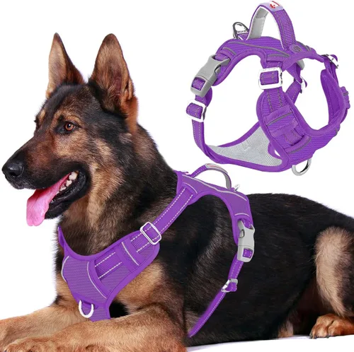 Miniatura 75 de BARKBAY Arnés para perro sin tirones con bolsillo para etiqueta de identificación, resistente, reflectante, fácil control para perros grandes