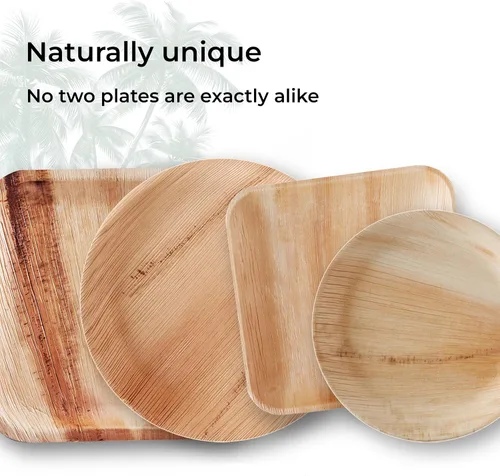 Miniatura 4 de Indie Palm Platos desechables de hoja de palma, paquete de 50 unidades, cuadrados de 8 pulgadas, resistentes, 100% compostables y biodegradables