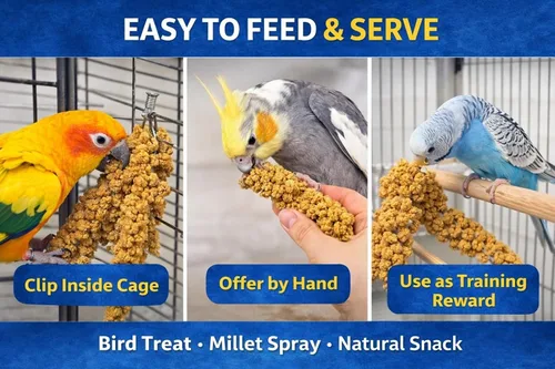 Miniatura 3 de Birds LOVE Mijo en aerosol saludable de 1 libra para pájaros, cultivado en Estados Unidos, natural secado al sol, racimos gruesos ricos en semillas