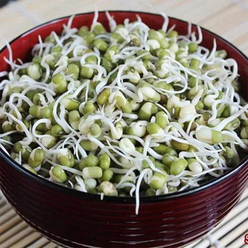 Miniatura 6 de Frijoles Mungos Orgánicos Secos Enteros también conocidos como 'Green Gram' 'Maash' 'Moong' Prelavados Limpios Listo para Cocinar sin OMG