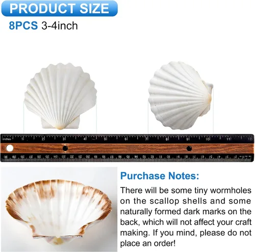 Miniatura 2 de QEQEKAKA 8 conchas marinas para manualidades de 3 a 4 pulgadas, conchas de vieira hawaianas blancas naturales para hornear, manualidades, relleno