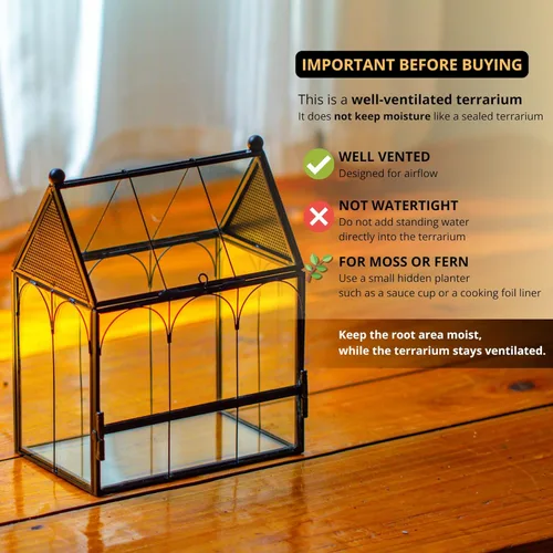 Miniatura 3 de NCYP Pequeño recinto de terrario de vidrio con malla para arañas saltadoras, plantas suculentas en forma de micro casa, terrario, decoración
