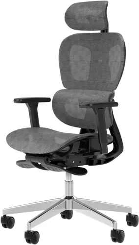 PatioMage Silla de oficina ergonómica, silla de escritorio grande y alta con soporte lumbar ajustable y profundidad del asiento, silla de Gris oscuro