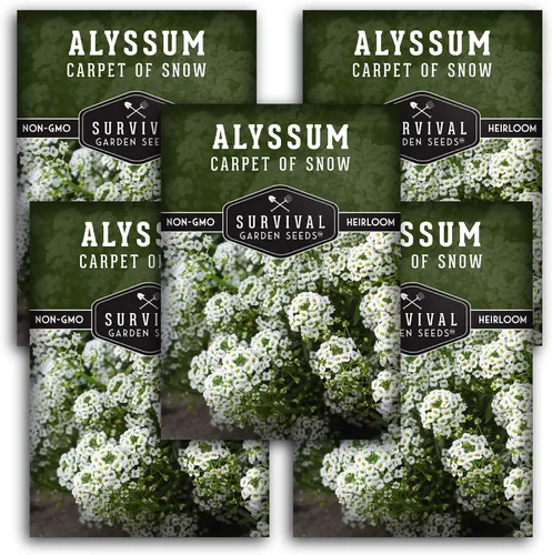 Miniatura 12 de White Alyssum Seeds for Planting - Semillas de jardín de supervivencia (paquete de 1) Variedad Sweet Carpet of Snow - Flores perennes fragantes