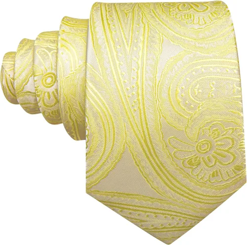Miniatura 21 de Barry.Wang - Juego de corbata de seda para hombre, diseño de cachemira, pañuelo y gemelos de bolsillo
