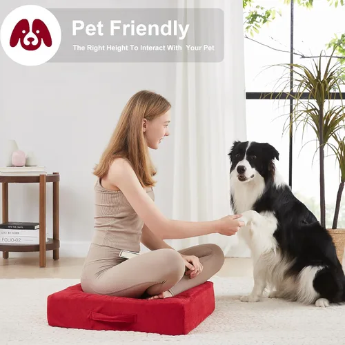 Miniatura 4 de JKMAX 2 Piezas Almohadas de Espuma de Alta Densidad para Piso - Almohadas Grandes Mejoradas para Asientos de Adultos - Cojín de Piso para Exteriores