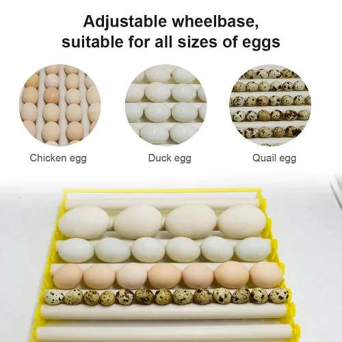 Miniatura 3 de HBtree - Bandeja de huevos para incubadora multifunción automática para pollos/patos/pájaros/aves de corral (7 tubos)