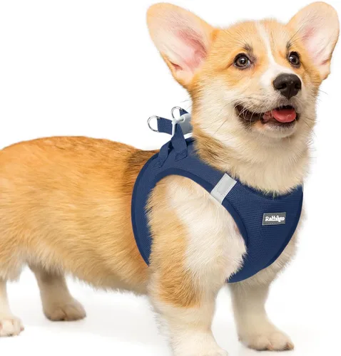Miniatura 26 de rabbitgoo Arnés para perro pequeño, chaleco de malla suave para cachorros con hebilla de seguridad, arnés reflectante transpirable para mascotas