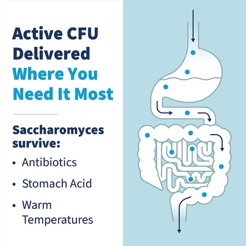 Miniatura 4 de SFI Health Klaire Labs Ther-Biotic Saccharomyces Boulardii Probióticos para mujeres y hombres - Probióticos S Boulardii para la salud digestiva