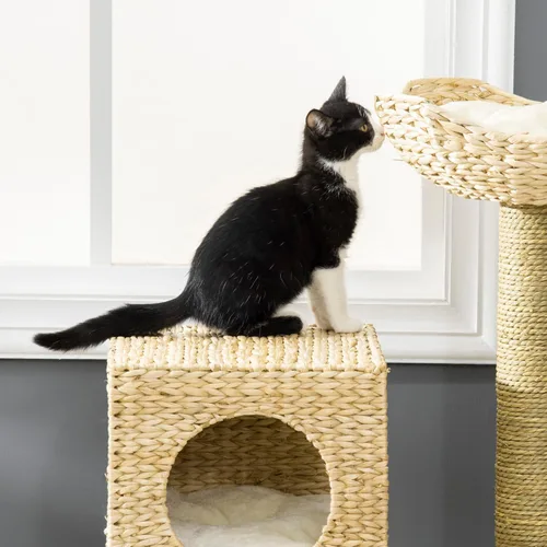 Miniatura 6 de PawHut Cattail Weave - Árbol para gatos de interior, torre de gatito con condominio de ratán para gatos, cama de mimbre, escalera, cojines lavables