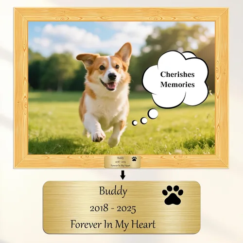 Miniatura 4 de SOITIS Placas de identificación grabadas con adhesivo, placa personalizada de acero inoxidable, placa conmemorativa para cenizas, marco de fotos