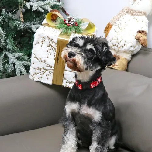 Miniatura 5 de Aring Pet Collar navideño para perro, lindo, ajustable, de algodón, para cachorros, perros pequeños, medianos y grandes, con copos de nieve, rojo Z