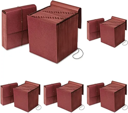 Pendaflex Vertical Reinforced Daily 1-31/31 Pocket Reinforced Expanding File, Letter Size, 1 Each (14004),Red Fiber (Pack of 5)