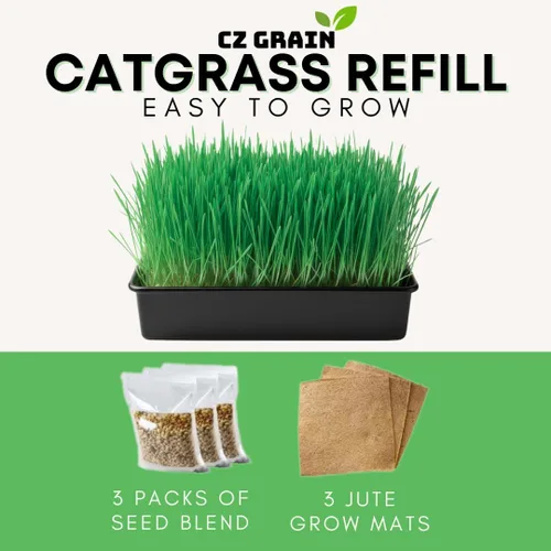 Miniatura 2 de Kit de cultivo de hierba para gatos, semillas orgánicas, tapetes de cultivo de yute, contenedor de cultivo de 10 x 10 pulgadas, ideal para gatos