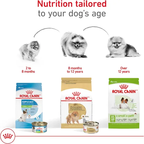 Miniatura 6 de Royal Canin Breed Health Nutrition Pomeranian Adulto Loaf en Salsa Comida para Perros, 3 oz (Paquete de 24)