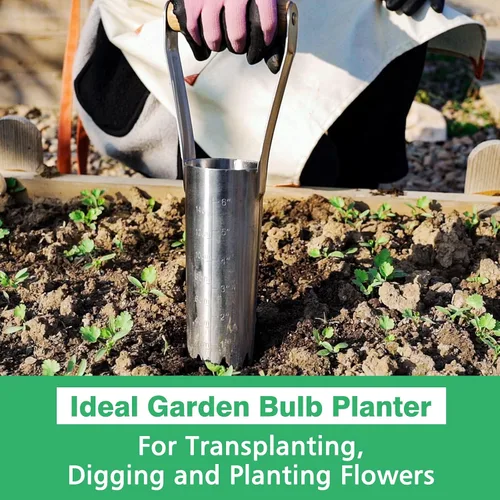 Miniatura 6 de Plantador de bulbos de jardín Berry&Bird con marca de profundidad de 15 cm, herramienta de trasplante de bulbos de jardín con mango de madera