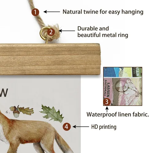 Miniatura 5 de XIAOAIKA Póster Educativo de Vida Silvestre de Seto Británico - Cuadro Ilustrado de la Naturaleza con Marco de Madera - Arte de Pared de Animales