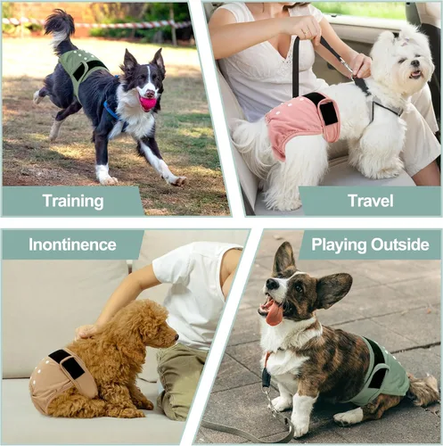 Miniatura 48 de Pañales lavables para perros, para hembras caninas, reutilizables, para periodo de celo, altamente absorbentes, para incontinencia, con broches