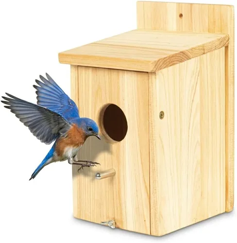 Casas de madera para pájaros para pajareras exteriores, nido Bluebird House para cardenales, pinzón, Wren, golondrina, para ver el jardín, 1A #