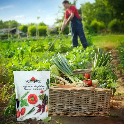 Miniatura 4 de Burpee Semillas de verduras Heirloom, paquete variado con 35 variedades de semillas de plantas, más de 30,000 semillas de jardín, semillas mixtas