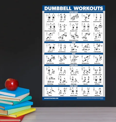 Miniatura 4 de Palace Learning Juego de póster de ejercicios con mancuernas y peso corporal, juego de 2 tablas laminadas, rutina de ejercicio con mancuernas