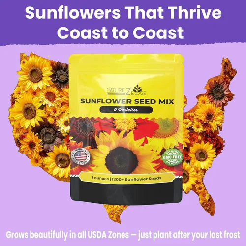 Miniatura 9 de NatureZ Edge 1300+ Semillas de Girasol Paquete de Variedad de Jardín, Semillas de Girasol a Granel para Plantar Flores, Obtén Más Semillas
