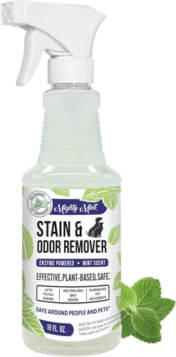 Mighty Mint Removedor de manchas y olores, el aerosol enzimático natural neutraliza de forma segura el olor y las manchas de perros, gatos en