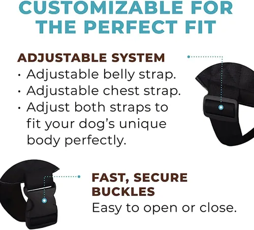 Miniatura 6 de Joyride Harness Luxe Joyride Harness para perros, arnés para mascotas sin tirones, fabricado en los Estados Unidos, 3 anillos laterales mejorados