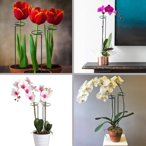 Miniatura 4 de HiGift Paquete de 10 estacas y soportes para plantas de 24 pulgadas, estacas de metal para plantas en macetas de interior, estacas de jardín