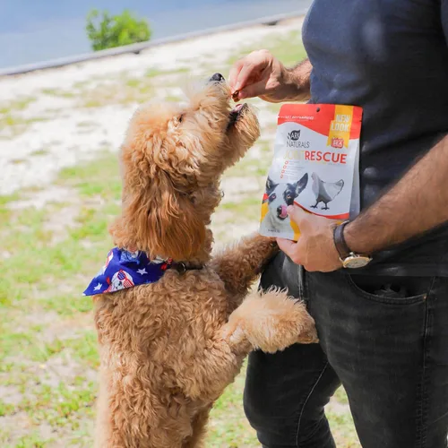 Miniatura 2 de Ark Naturals Joint Rescue - Masticable para perros, sabor a pollo, suplemento para articulaciones con glucosamina y condroitina, 1 paquete Marrón