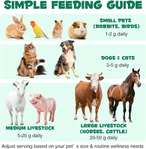 Miniatura 9 de ALIVO Polvo de carbón activado para perros, gatos, suplemento de salud en polvo de carbón activado, apoya el bienestar digestivo y la frescura oral
