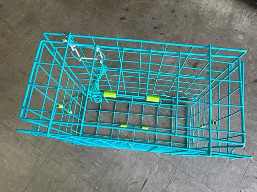 Miniatura 4 de Trampa plegable para cangrejos legal del estado de California de 24 pulgadas, de lujo, alambre de acero recubierto de vinilo, plegable para un fácil