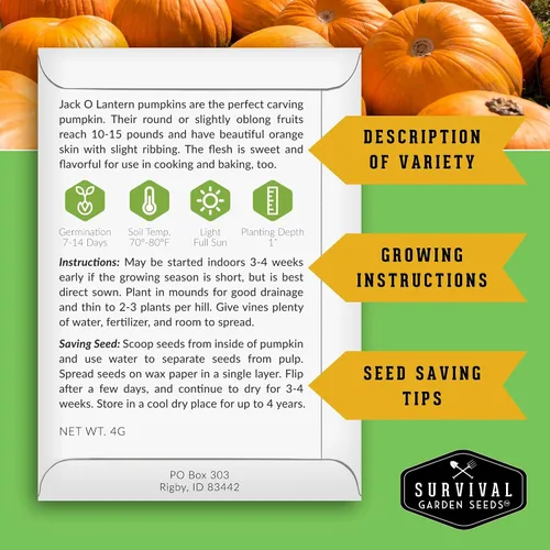 Miniatura 2 de Survival Garden Seeds - Semillas de calabaza Jack-O-Lantern para plantar - 3 paquetes con instrucciones para plantar y cultivar calabazas talladas