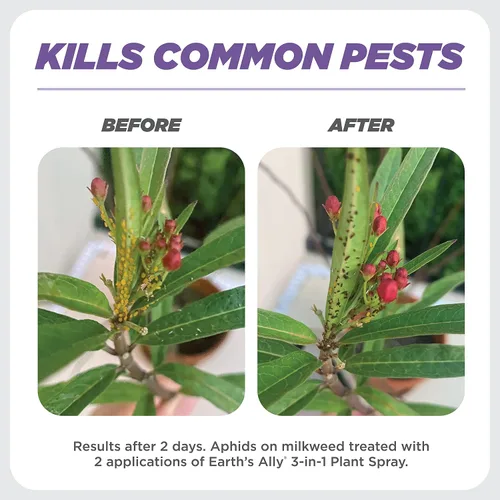 Miniatura 4 de Earth's Ally Spray 3 en 1 para plantas concentrado de 8 onzas para plagas y enfermedades – insecticida orgánico, fungicida, miticida – Listado OMRI