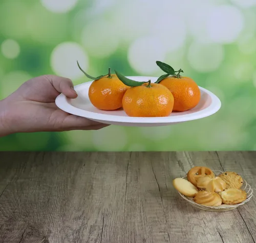 Miniatura 2 de CantaGreen Platos compostables de 9 pulgadas, 100 unidades de caña de azúcar/bagazo y fibra de bambú biodegradable plato de papel desechable