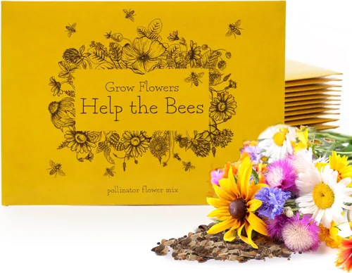 Miniatura 10 de Bentley Pollination Celebration - Paquetes de semillas de flores silvestres, sin OGM, mezcla de flores sin recubrimiento para plantar, hermoso