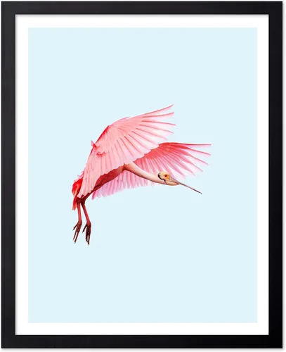 Miniatura 84 de Poster Master Vintage James Audubon Póster - Impresión Retro de Cuervo - Arte de Aves de América - Arte de Aves - Regalo para Hombres, Mujeres