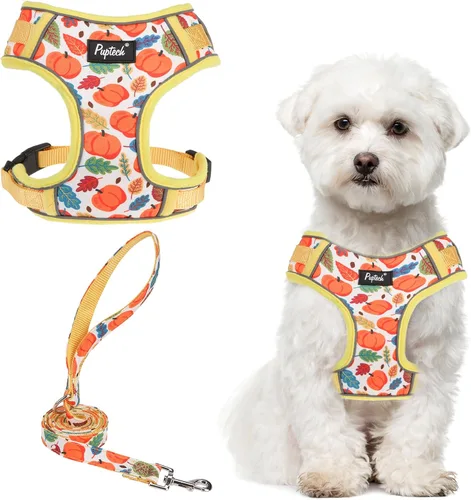 Miniatura 14 de PUPTECK Juego de arnés y correa para perro pequeño, arnés ajustable sin tirones para cachorro, chaleco de malla suave reflectante para mascotas