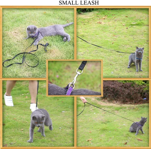Miniatura 4 de AMAGOOD 6 pies de correas para cachorros/perros, correa de estilo tradicional resistente con gancho de cuello fácil de usar, correa para perros Negro