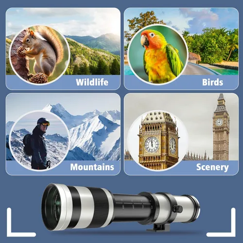 Miniatura 7 de Lente telefoto EF/EF-S 420-800mm F8.3 de zoom (MF) para cámaras Canon EOS Rebel T8i/T7i/T7/T6i/T5/T3i/T2i/XSi/SL3/SL2/T100/90D/80D/70D/50D/5D Mark